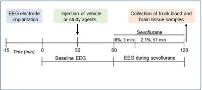 Roles of Testosterone and Estradiol in Mediation of Acute Neuroendocrine and Electroencephalographic Effects of Sevoflurane During the Sensitive Period in Rats